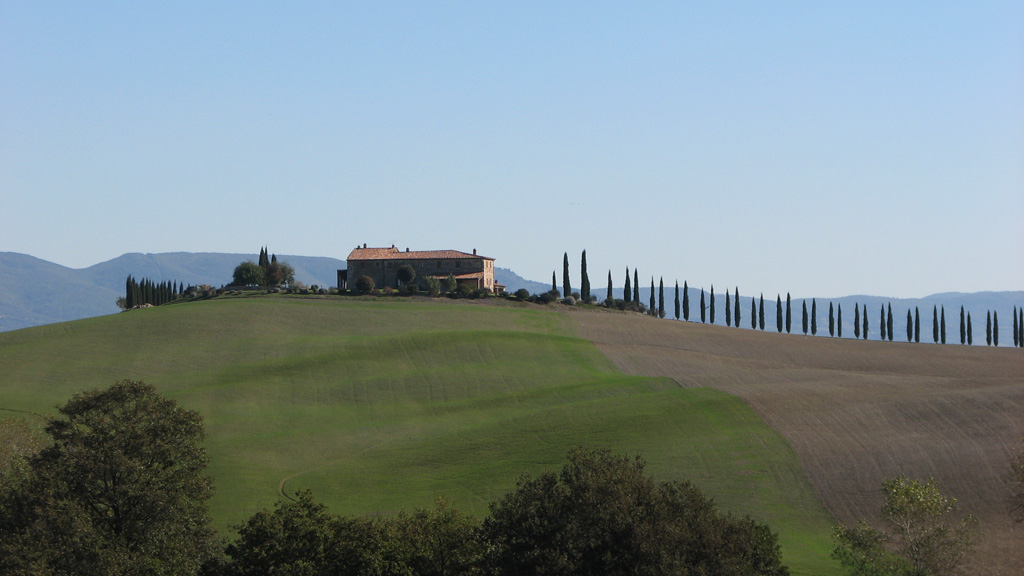 Un poggio...pettinato