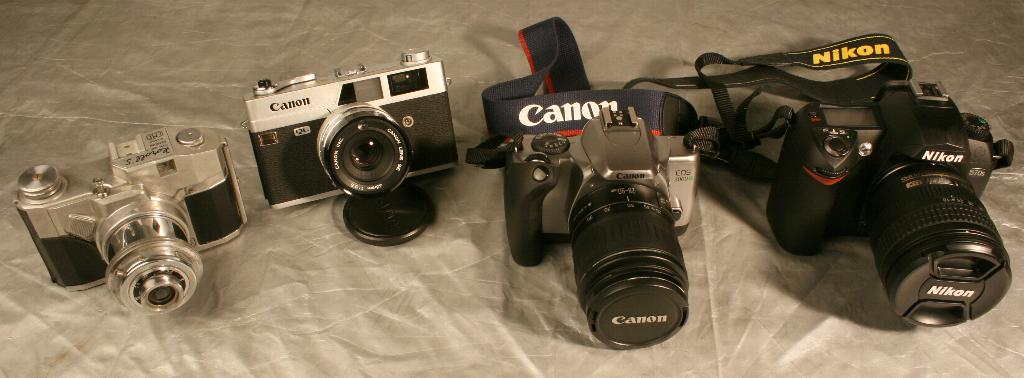 Evoluzione della specie