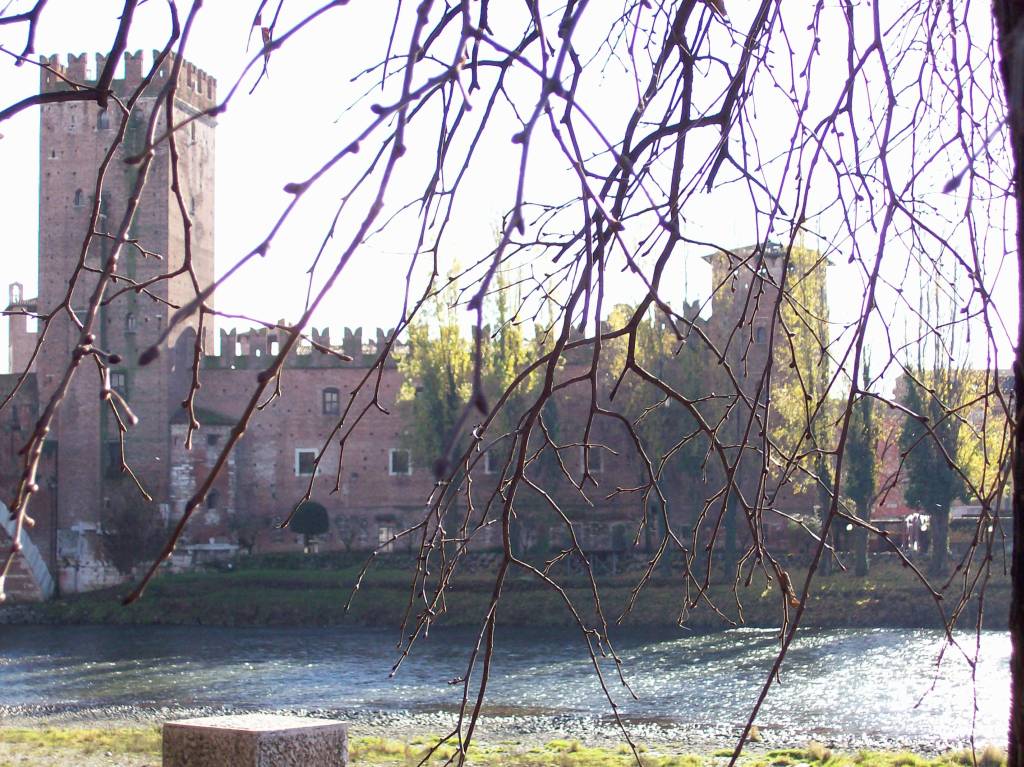castelvecchio dietro l'albero
