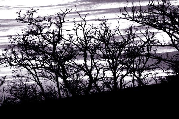 +++just like a dream+++