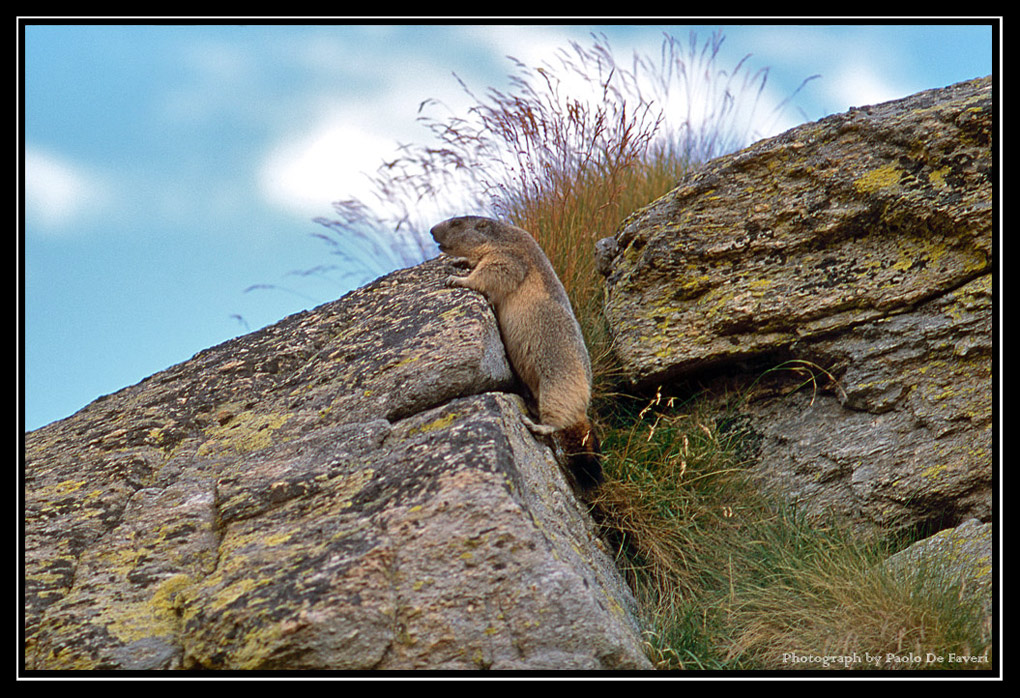 Il Free Climber. Col del Nivolet, 2600 mt, Parco Nazionale del Gran Paradiso.