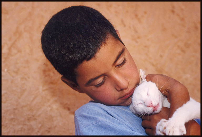 vicini vicini..................