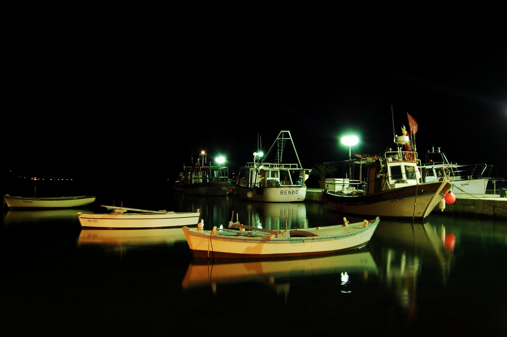 Fazana di notte