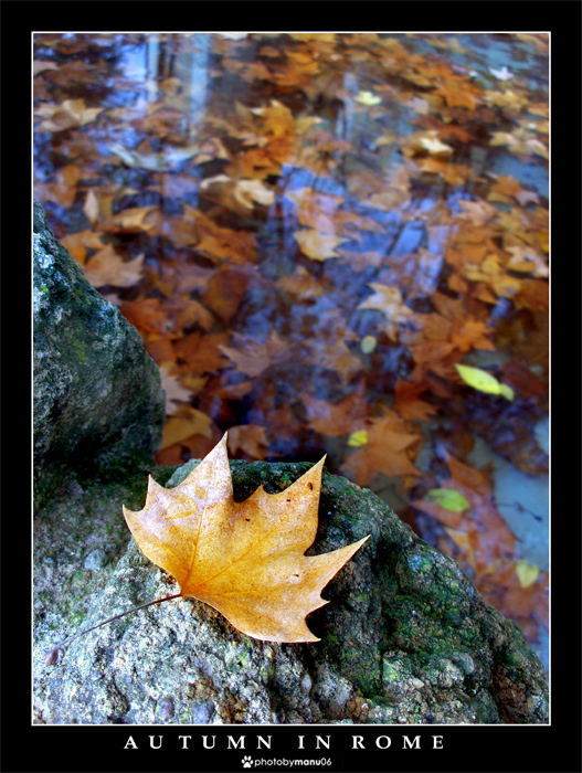 Autumn in Rome