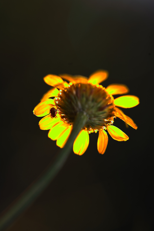 al riparo da ogni cosa