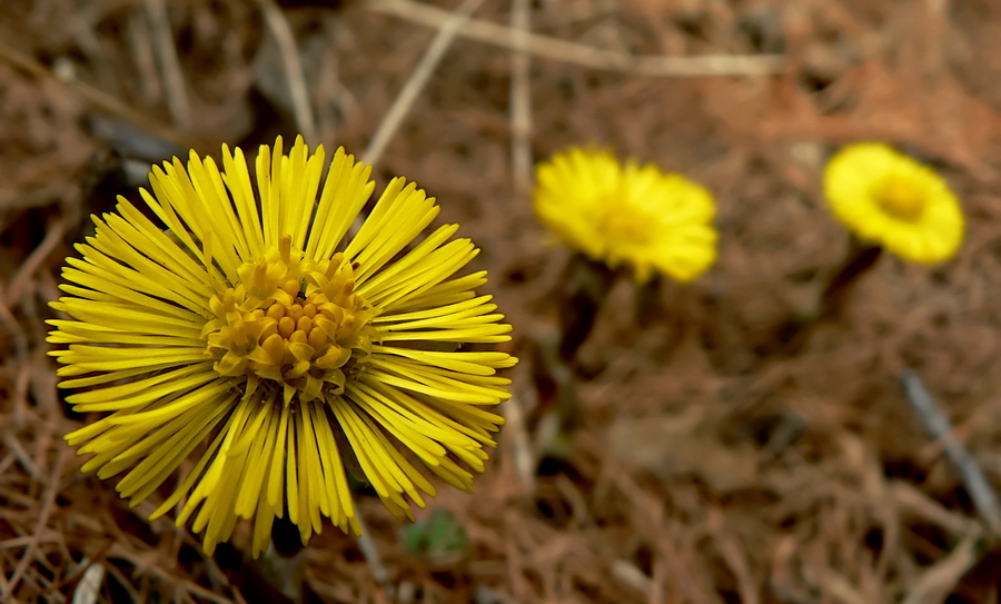 Le ultime della stagione