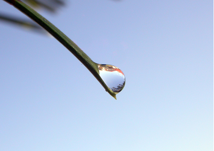 ed una lacrima scese gi�....