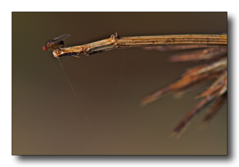 questione di millimetri