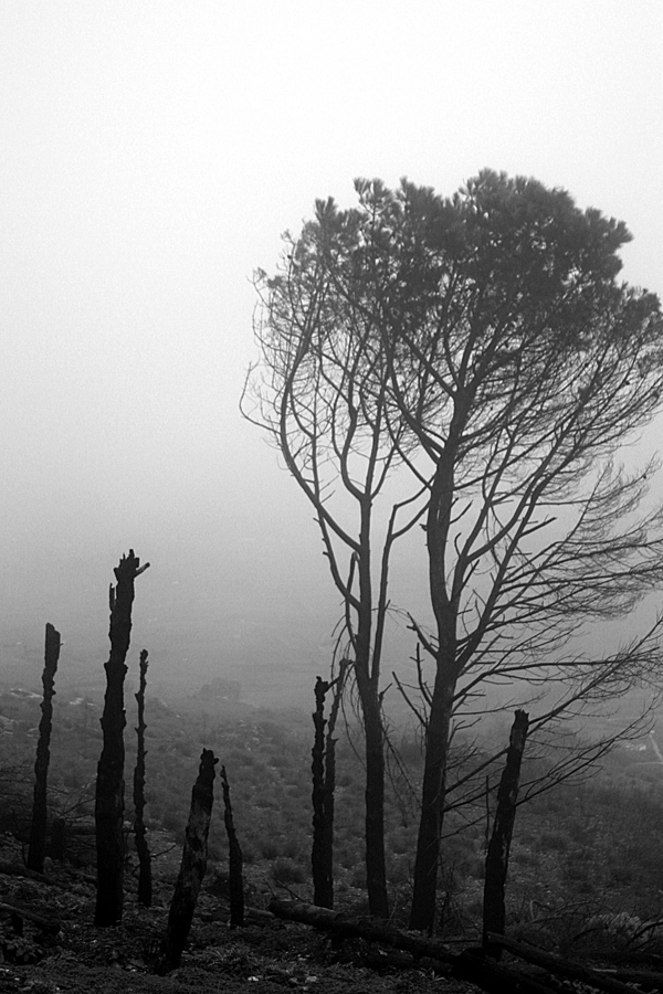 Quel che resta, sono solo ceneri