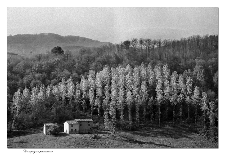 Campagna parmense