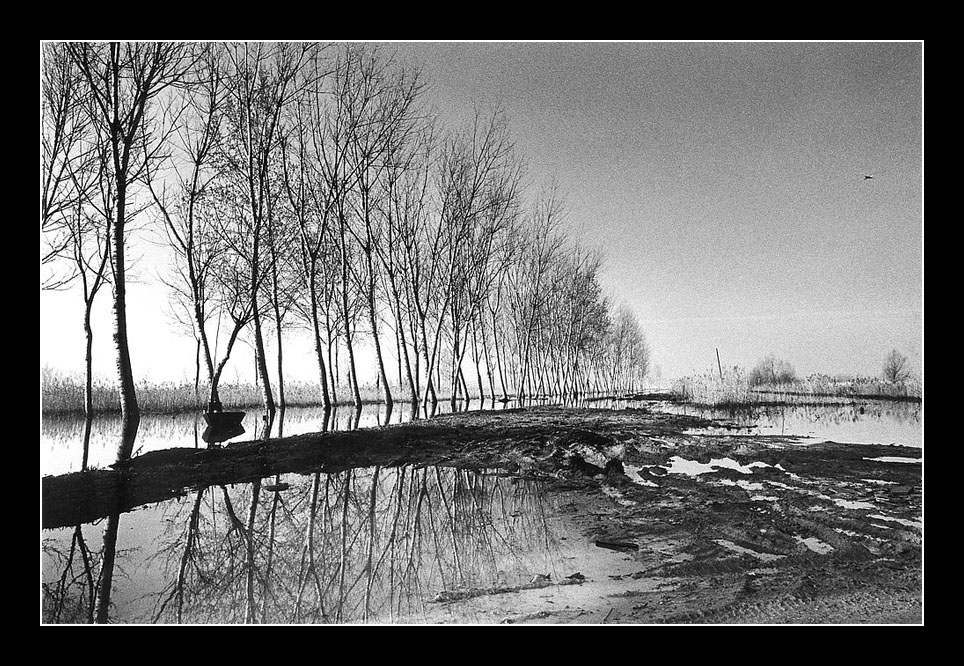 Padule di Fucecchio #2