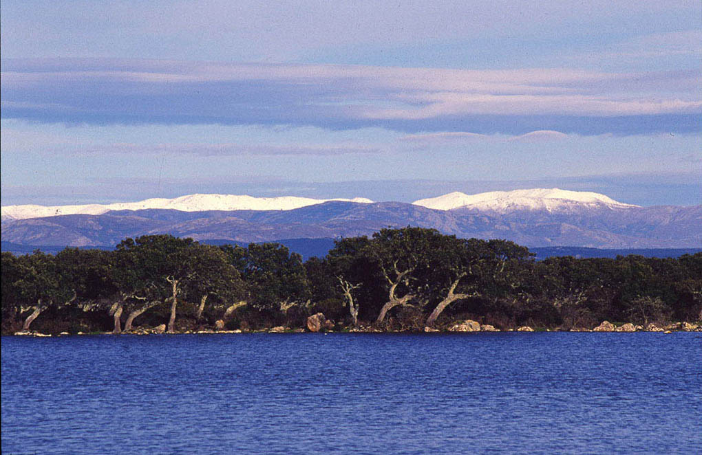 Gennargentu dalla Giara di Gesturi