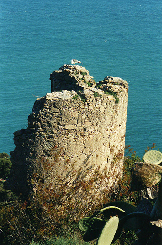 Torre diroccata