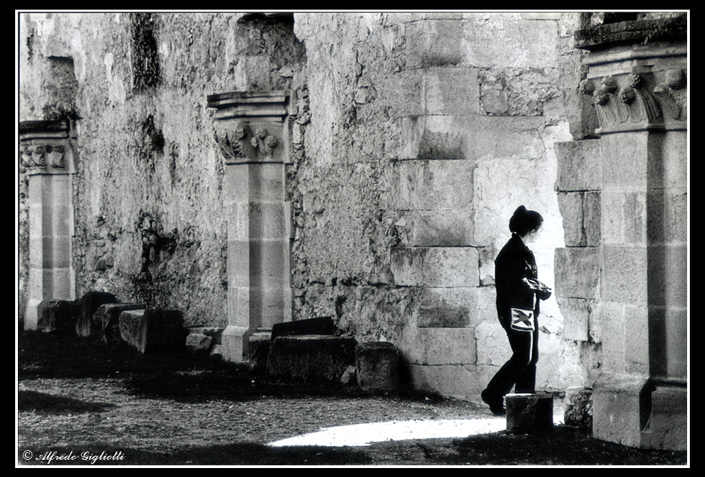 Alla ricerca del passato...