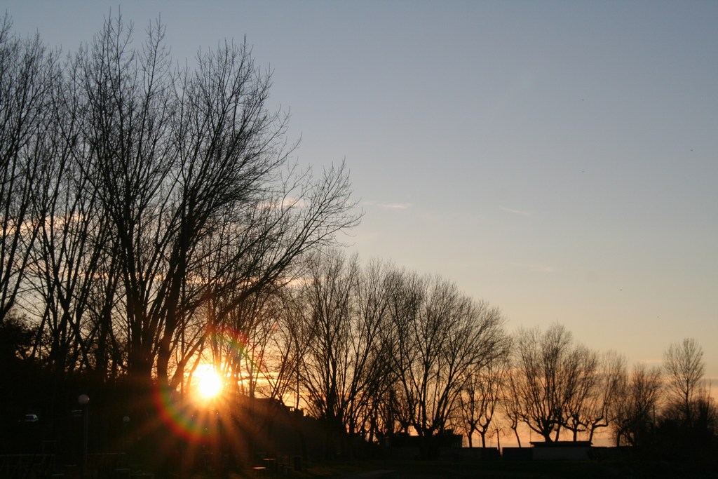 Nascosto tra gli alberi