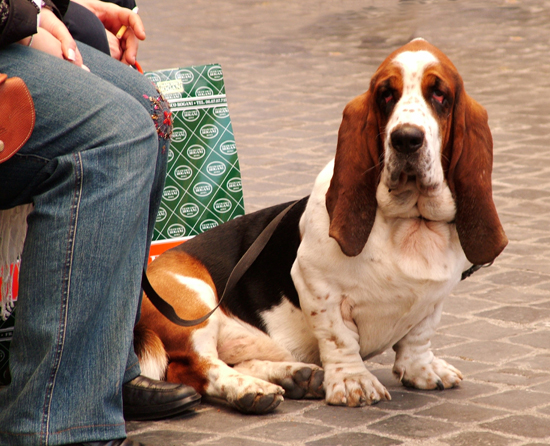 Quanto mi piace essere fotografata!!!
