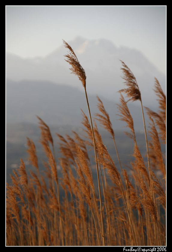 Vento...movimento...