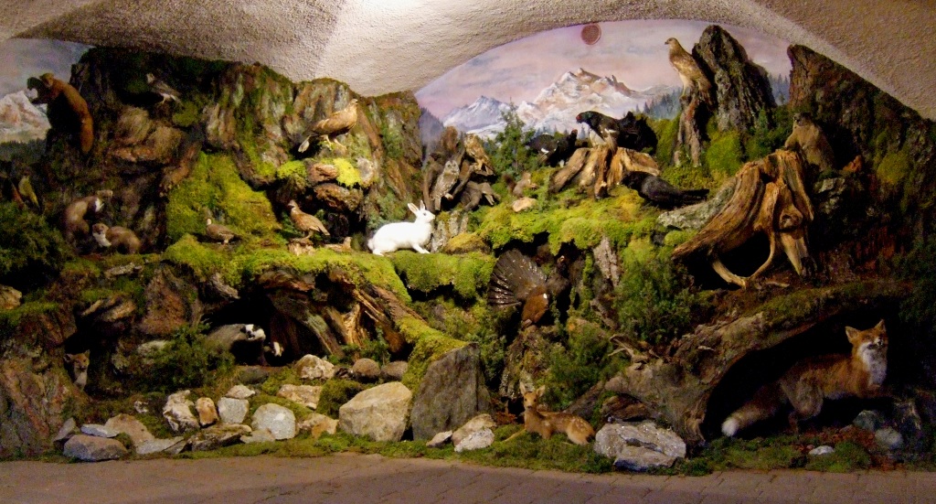 animali della foresta