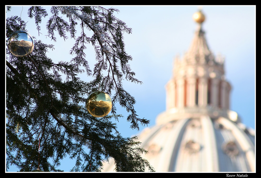 Cartolina dal Vaticano...
