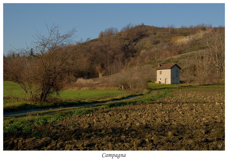 Campagna piemontese #2