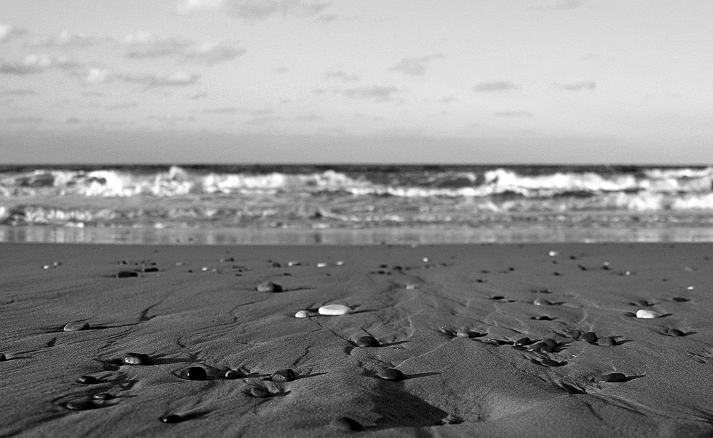 Aspettando un'altra onda