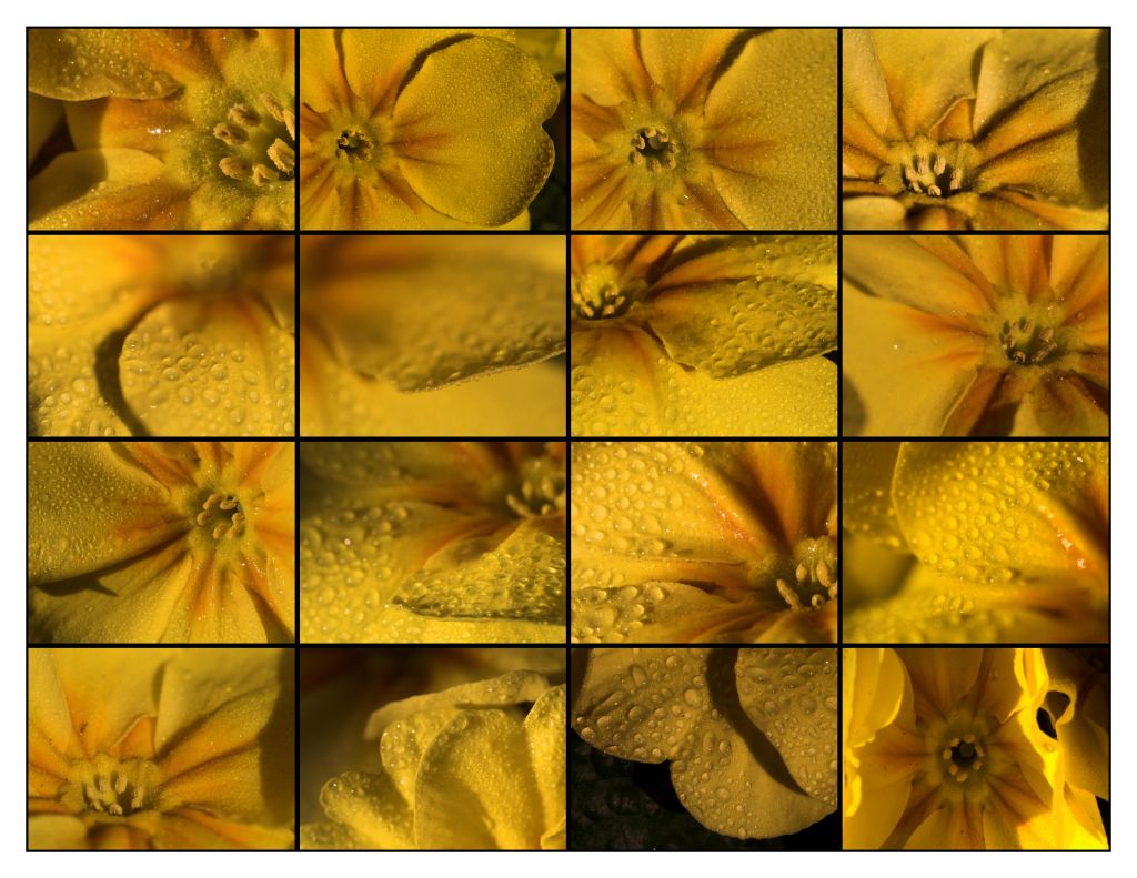 giallo