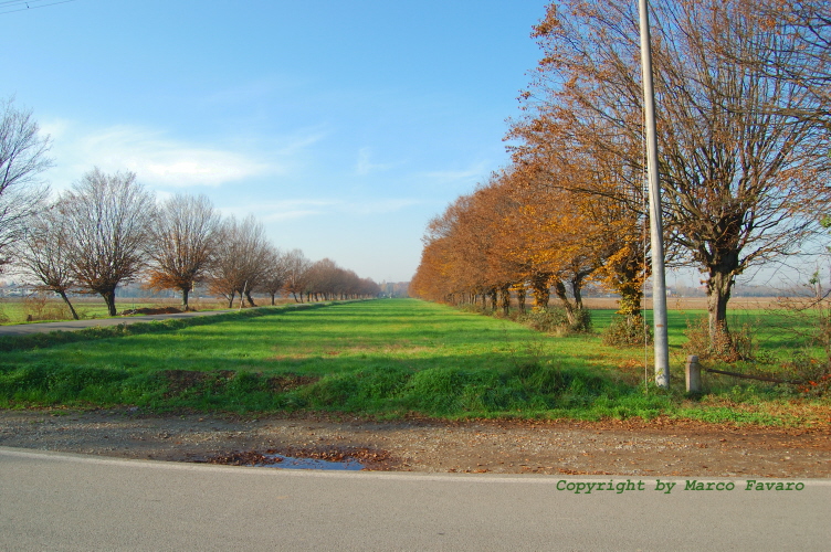 geometrie di campagna