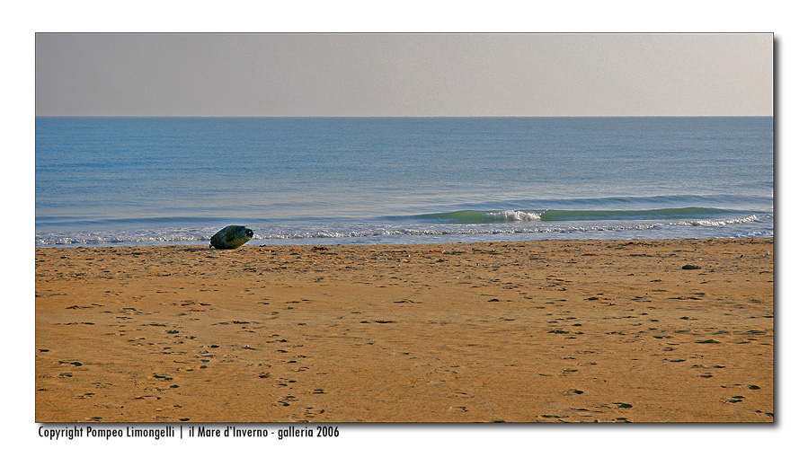 il Mare d'Inverno - 3