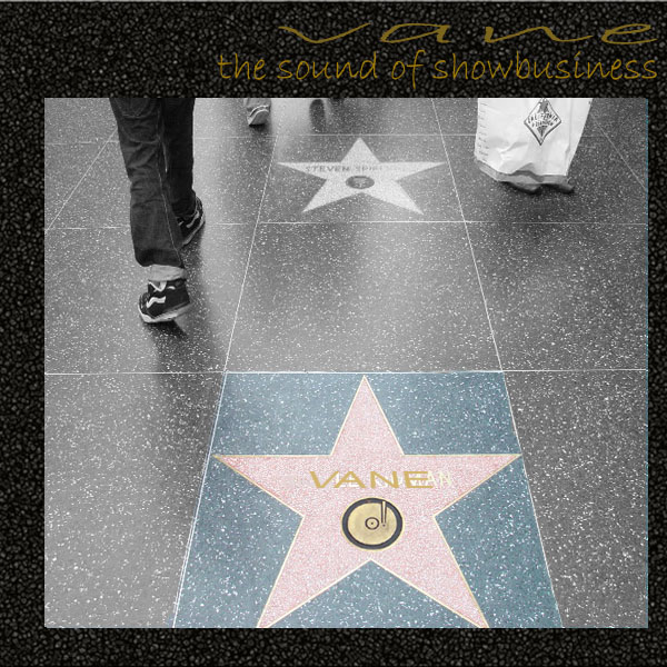 vane (cerco consigli)