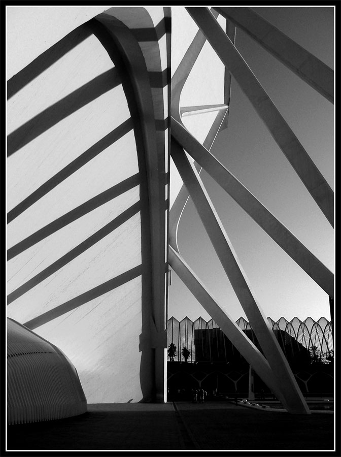 la pancia della balena...