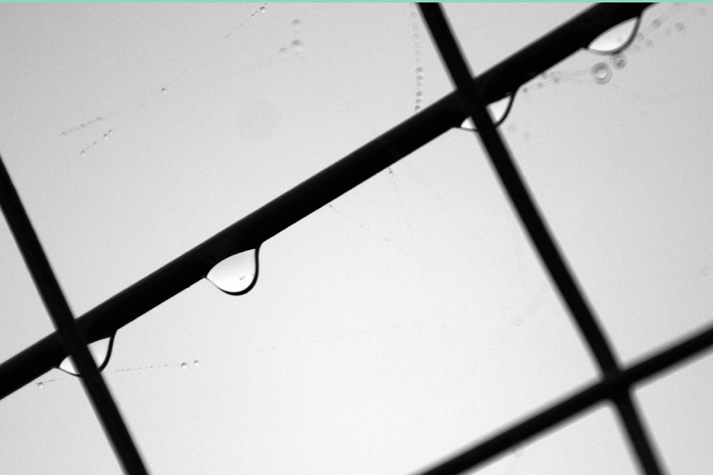 La semplicit� della vita