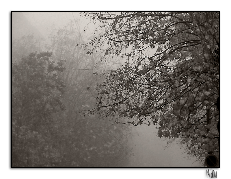 nebbia
