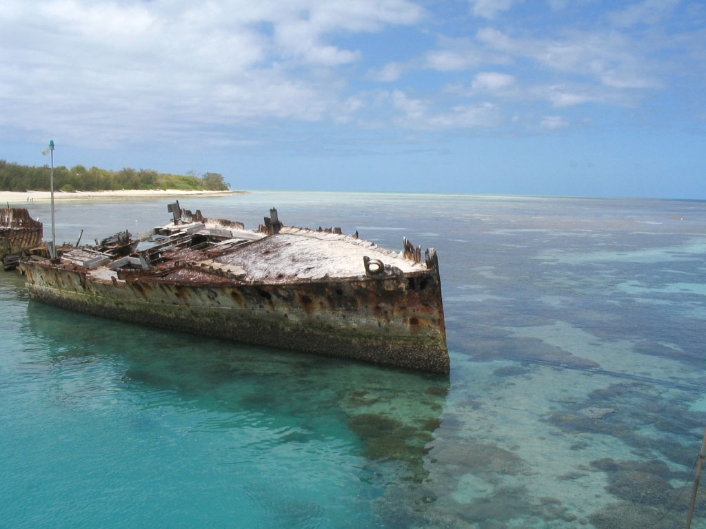 Heron Island Paradise