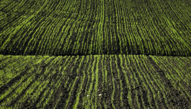 la mia terra....un libro da leggere