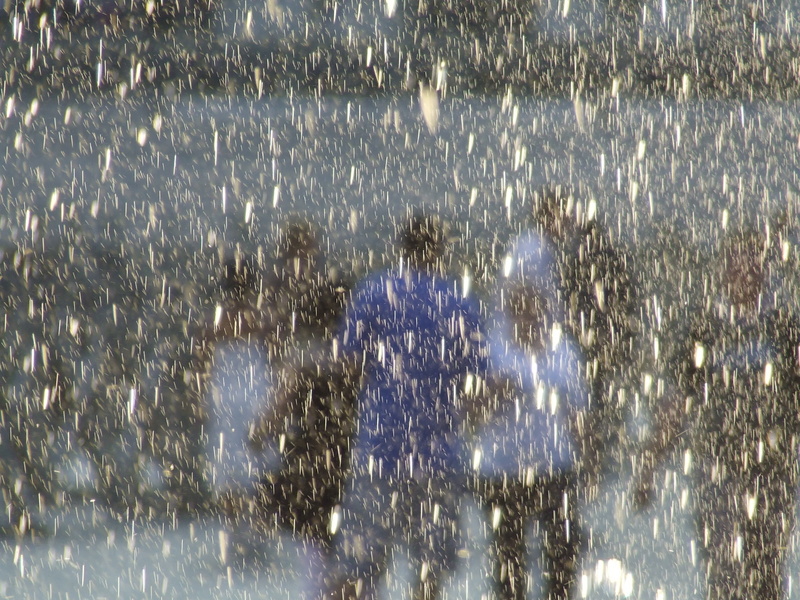 Pioggia di lacrime...