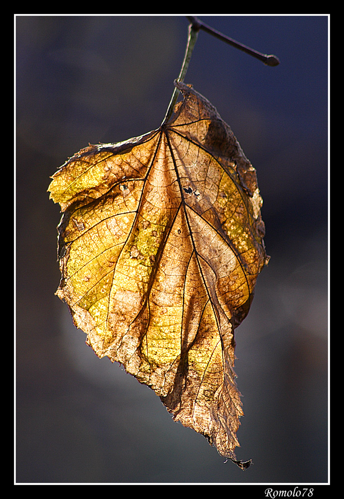 Autunno inoltrato...