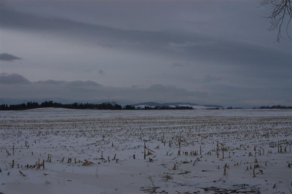 Il nulla nella vastit�