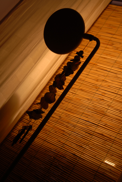 Arredamento luminoso