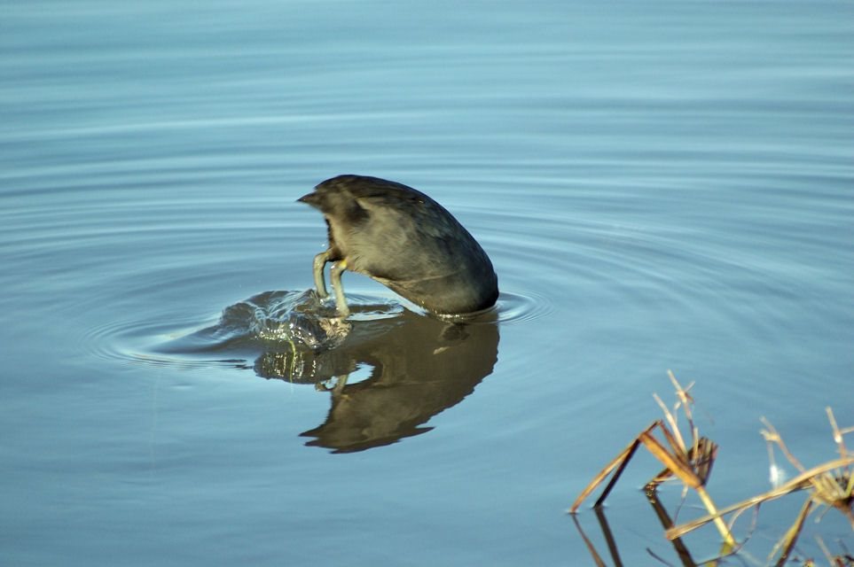 NON GUARDARMI NON TI SENTO