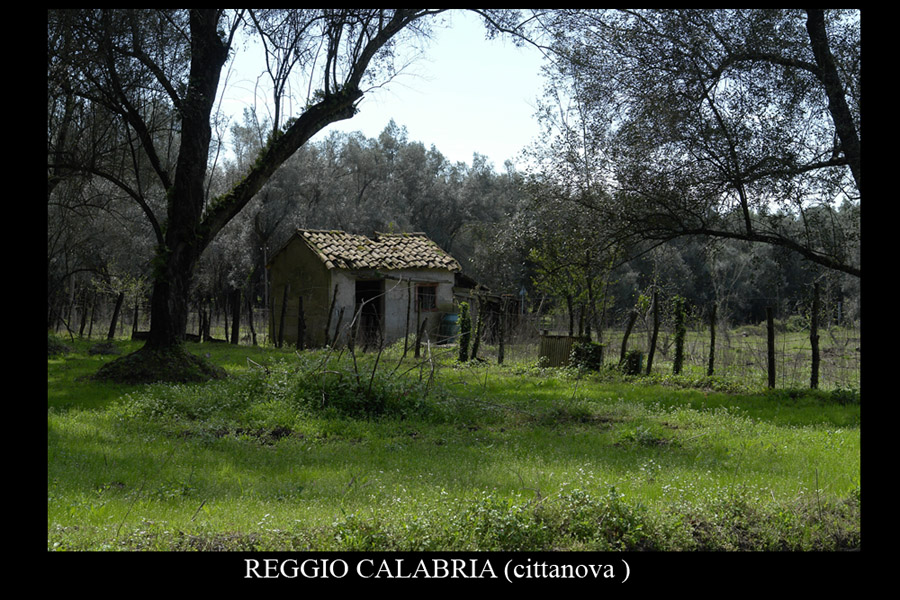 reggio calabria e la sua provincia