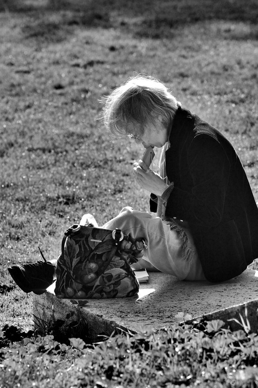 Musica al sole di Dicembre