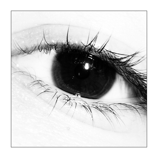 Eye