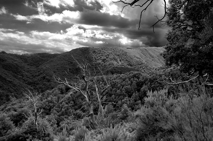 Temporale sulla locride