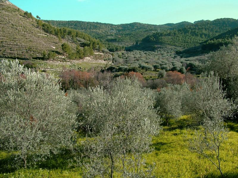 Panorama( Buccheri)-SR