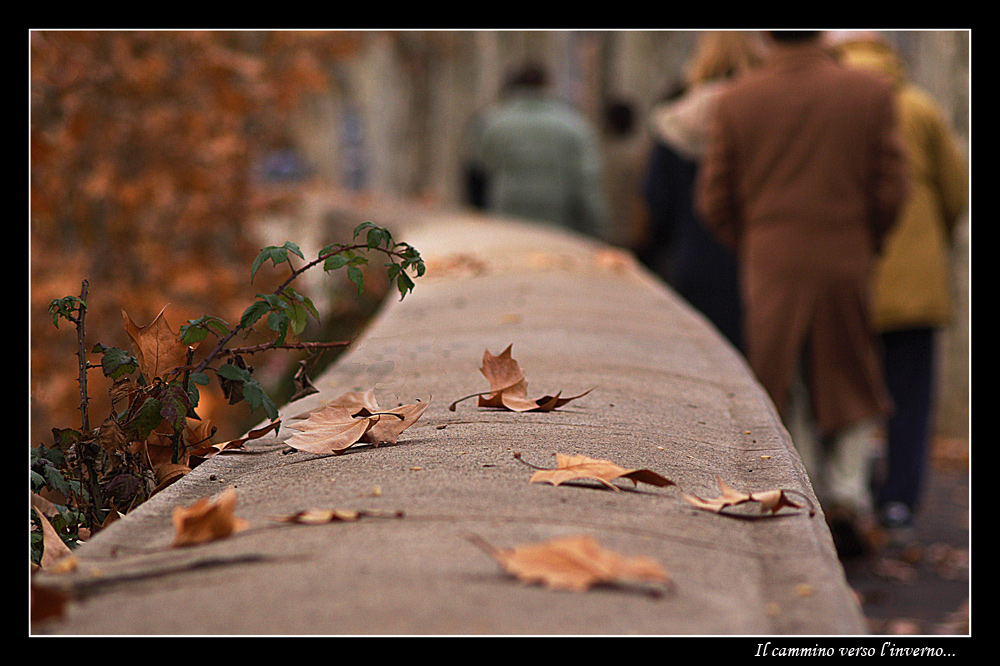 Il cammino verso l'inverno...