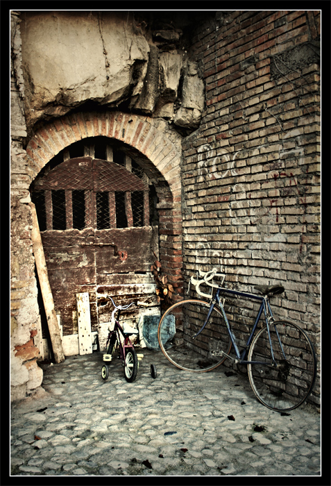 Passeggiando in bicicletta...