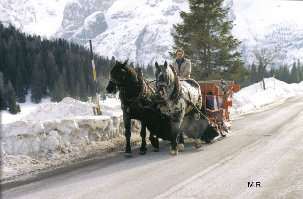 misurina