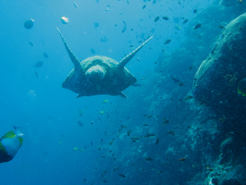 incontro inaspettato