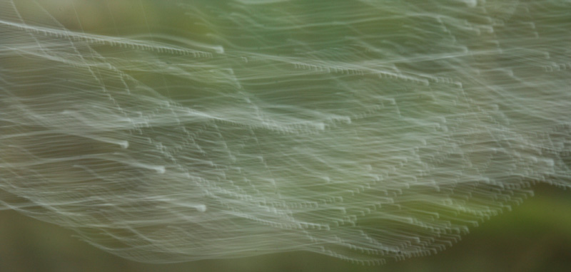 La nascita della vita