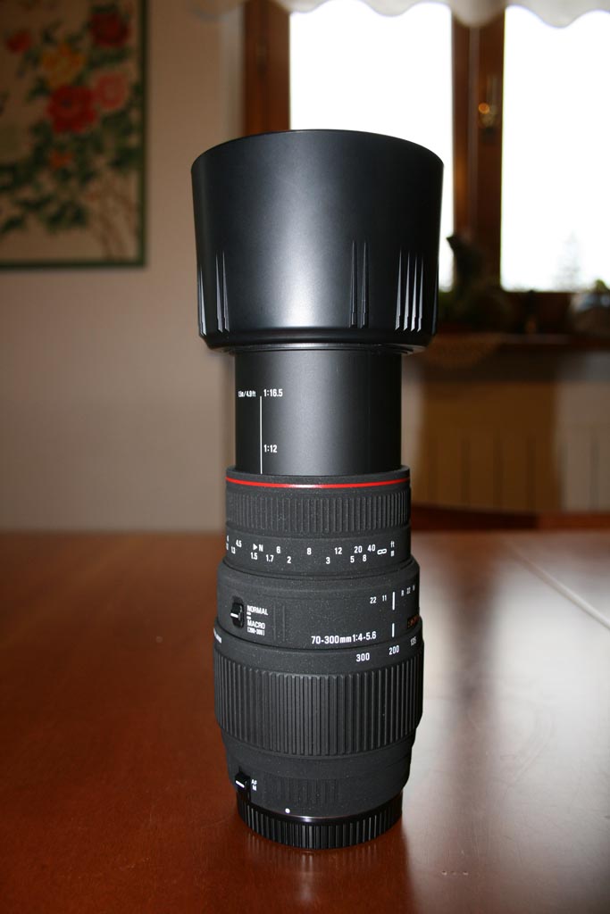 Sigma 70-300 APG DG 2